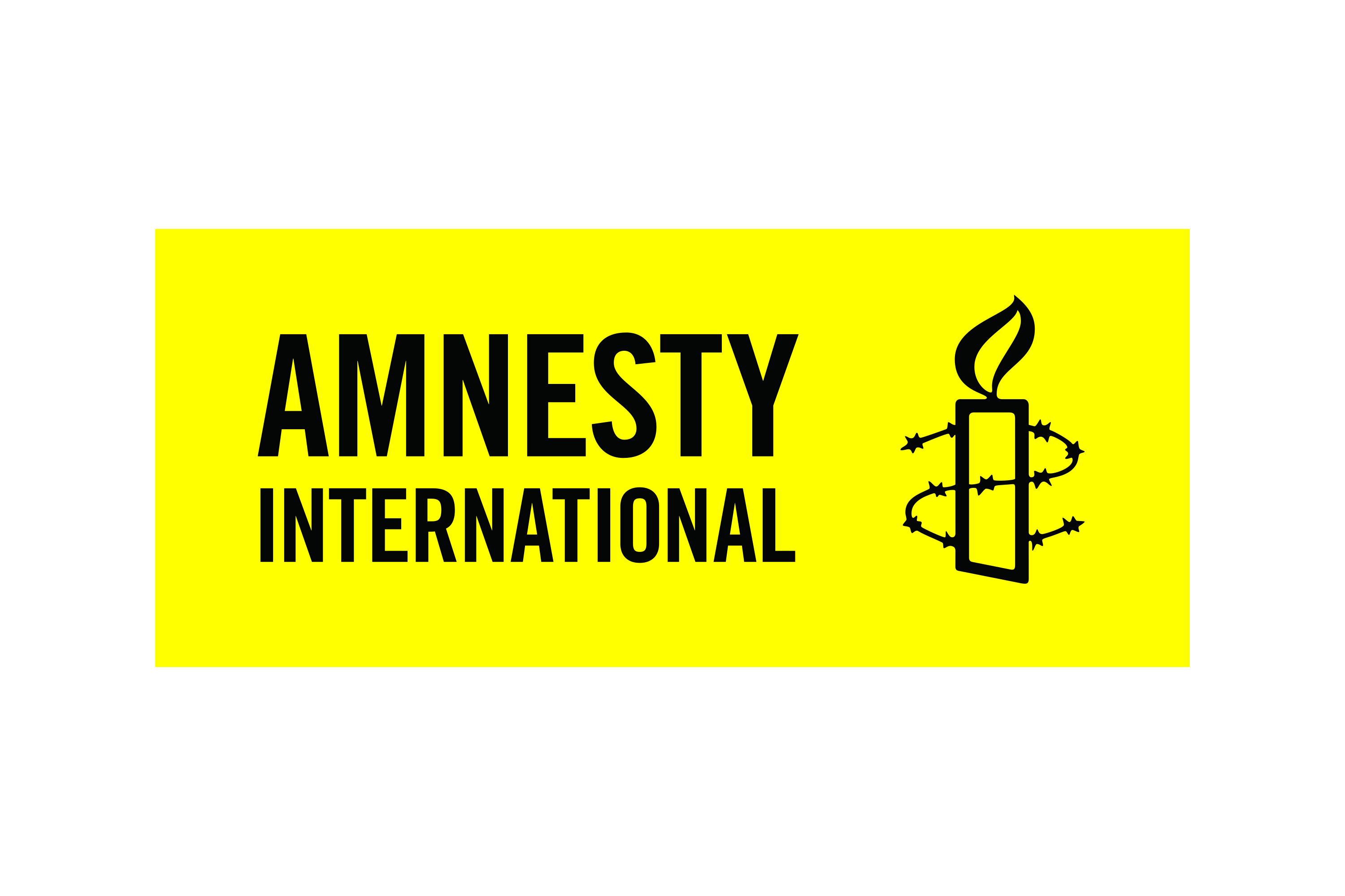 Amnesty